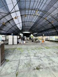 Ang Mo Kio Avenue 8 (D20), Factory #576168751